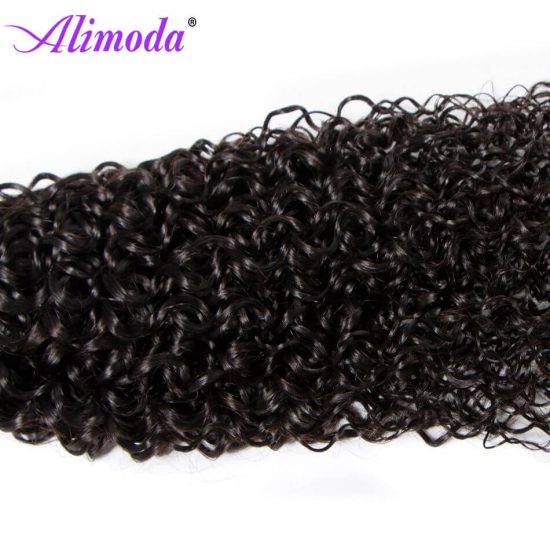 alimoda curly hair bundles